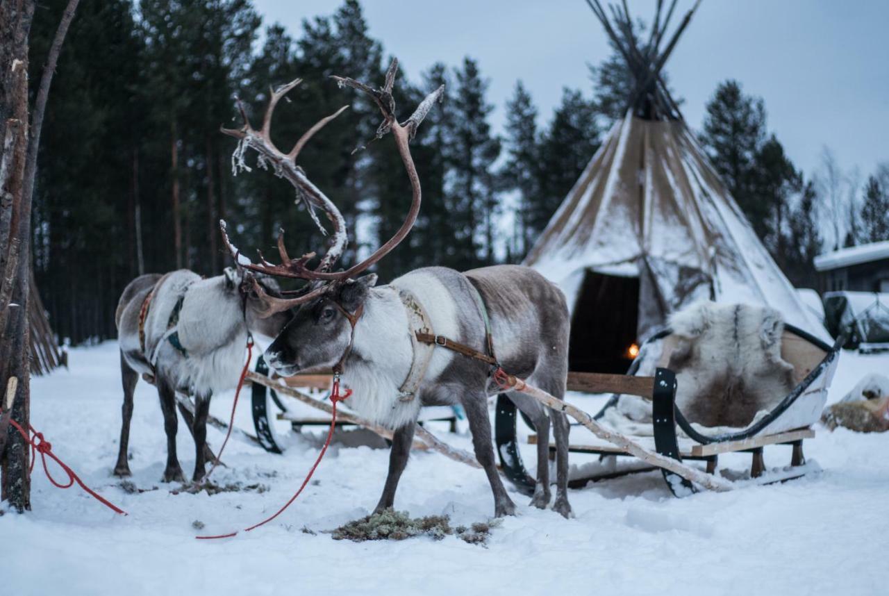 Aurora Village 4* Ivalo